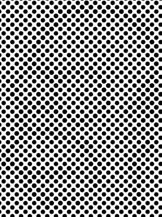 MattBloomFilms's tweet photo. Illusion Of The Day:

Share this if you can see who's hidden in the dots... https://t.co/PgRiVgEuJB