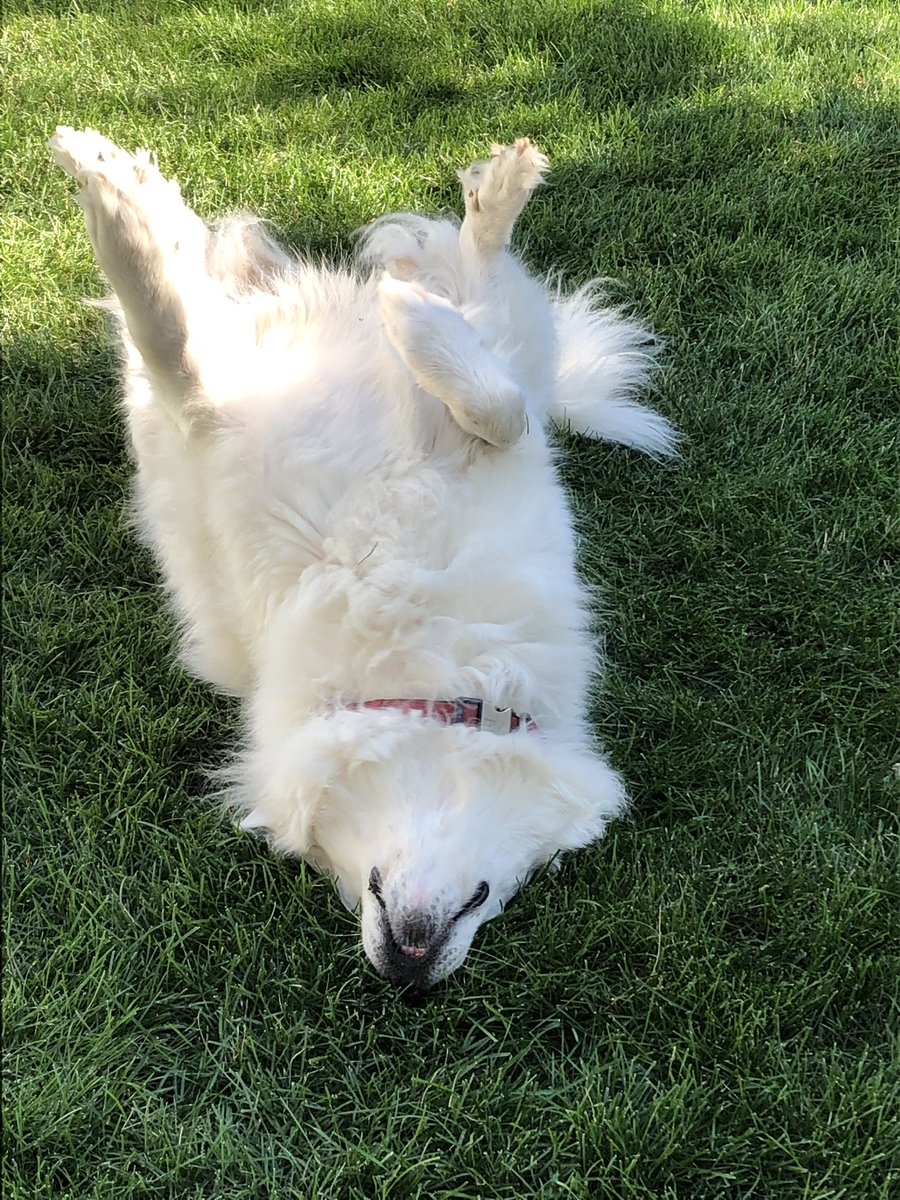 J0tti Bee🐝 tweet media