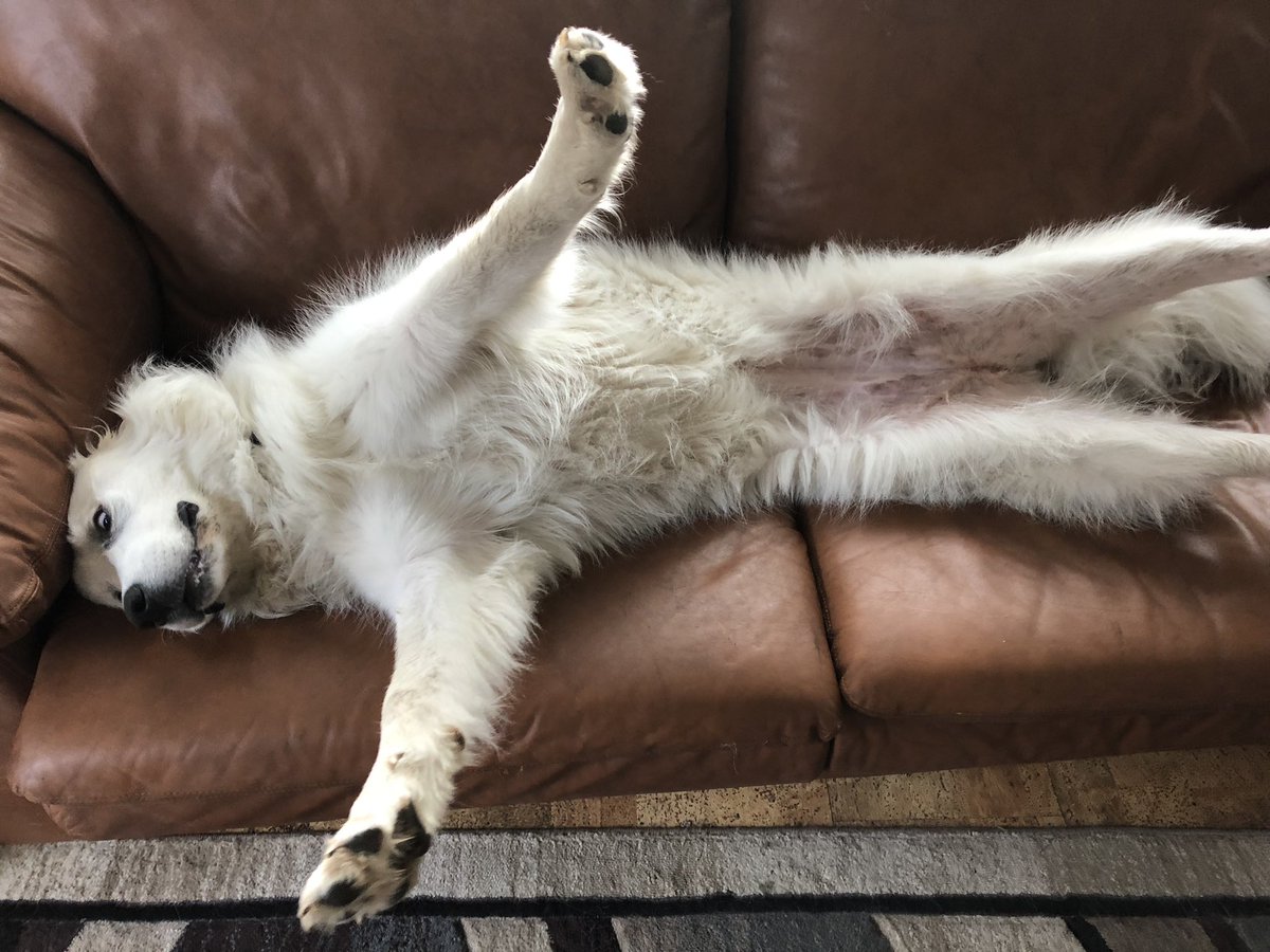 J0tti Bee🐝 tweet media