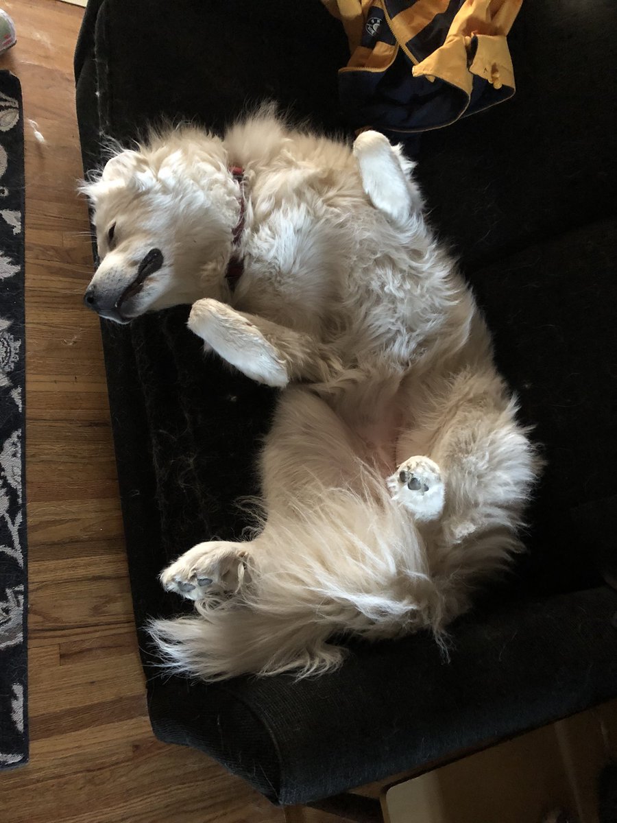 J0tti Bee🐝 tweet media