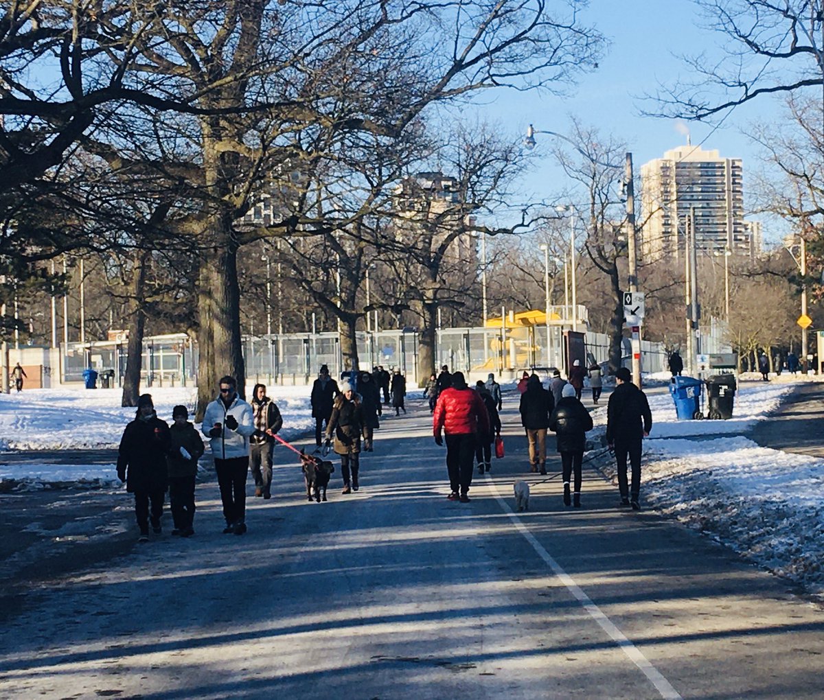 Penalosa_G's tweet photo. The magic of car-free parks. People enjoying presence of each other, physically distanced. Why limit it at High Park to weekends and not always? 24/7/52? @TorontoPFR @JohnTory @GordPerks https://t.co/zI8ngnOg8g