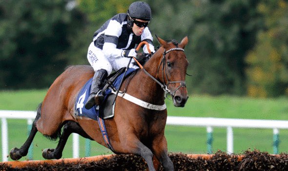 RyanOReilly94's tweet photo. Good horse him @morgyracing https://t.co/GY8VBwSibX
