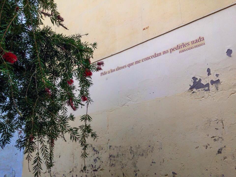 TriniQueenie tweet media