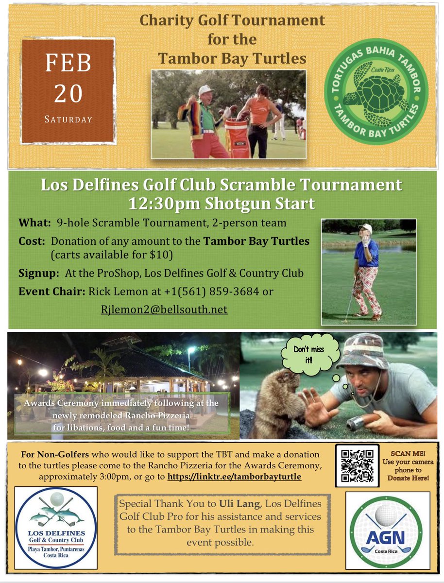 Tambor Bay Turtles / Tortugas Bahía Tambor tweet media