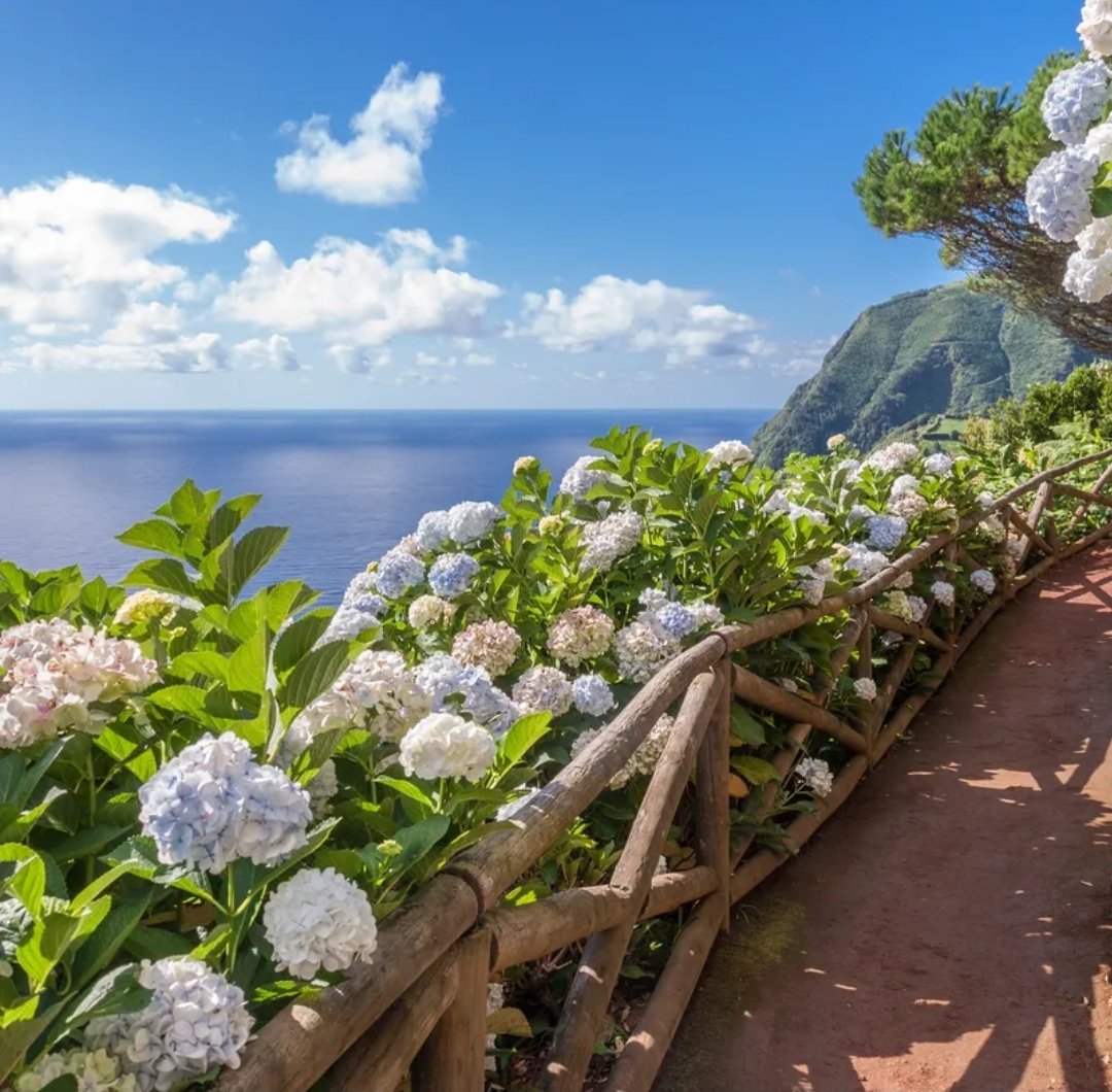 Floral department takeover on Twitter today!  Put these locations on your 2022 travel list! Meanwhile you can ask us about any of these florals at your event later (yes we're are hopeful) this year!