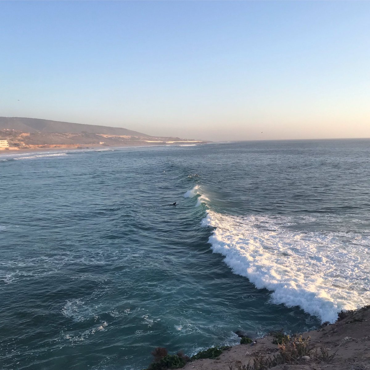 ShakaSurfMoroc's tweet photo. Sunset shapes
#surfingthetides #sunsetsessions #sunsetsurfs #surfingmorocco #taghazout #tamraght #agadir #aourir #surftrips #surfholidays #surfvacations #mondaymood #sunrise #surfsessions #surfers #surfing #surfstoke #pointbreak #pointbreaks #surfstoke #surfingvibes https://t.co/ny3WvHpIGZ