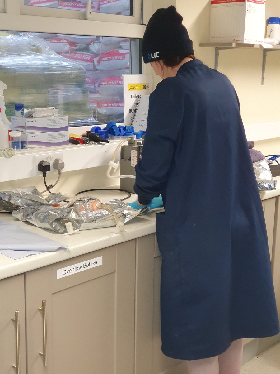 METH-ABATE tweet media