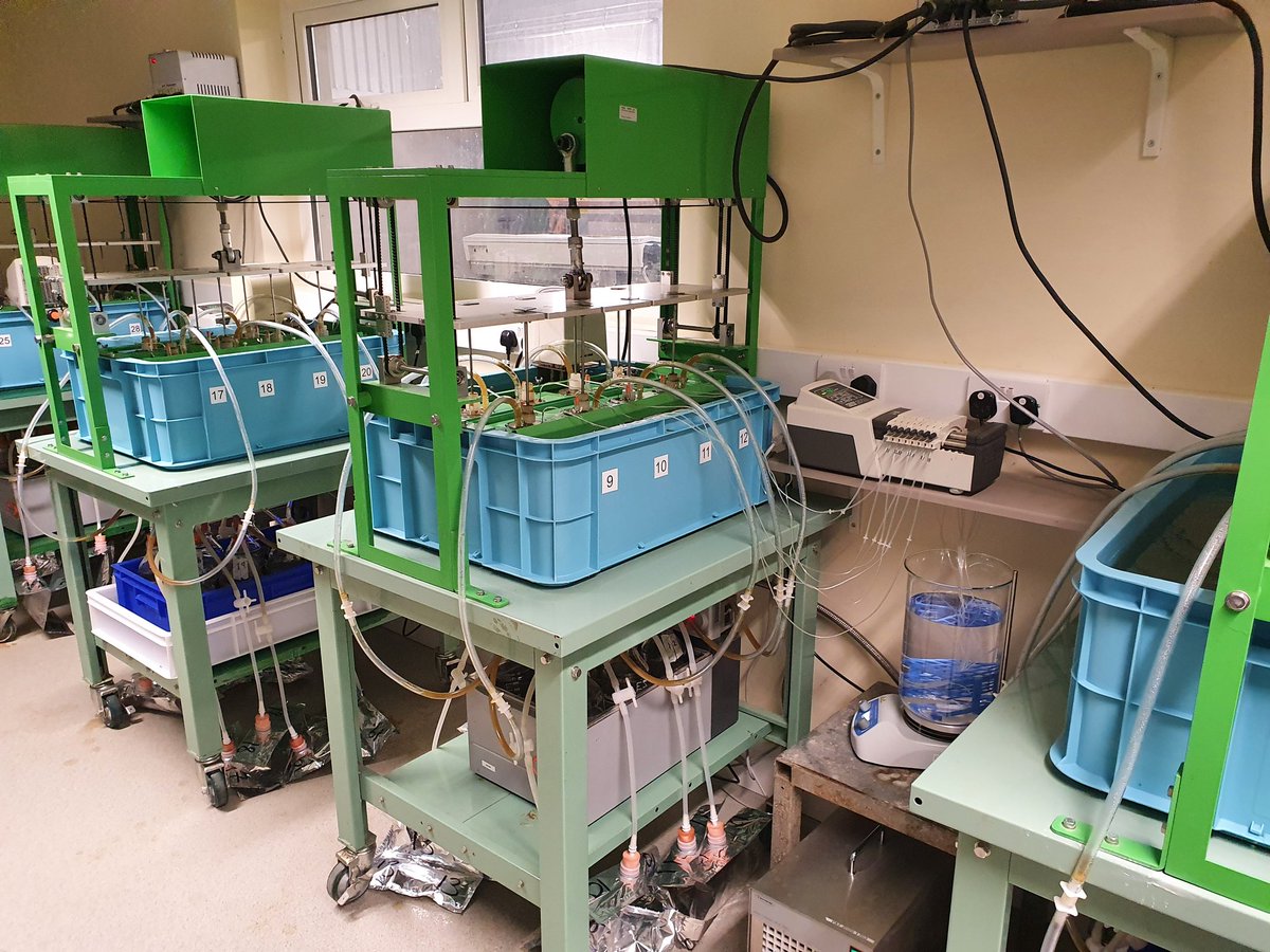 METH-ABATE tweet media