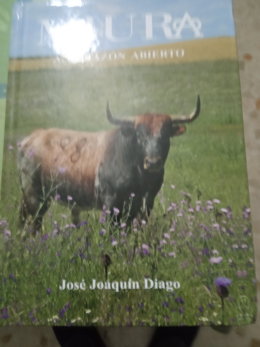 RubioUtrera's tweet photo. Extraordinario el regalo de mi nieto en mi cumpleaños 👏👏👏 https://t.co/nVlkMz0OZZ