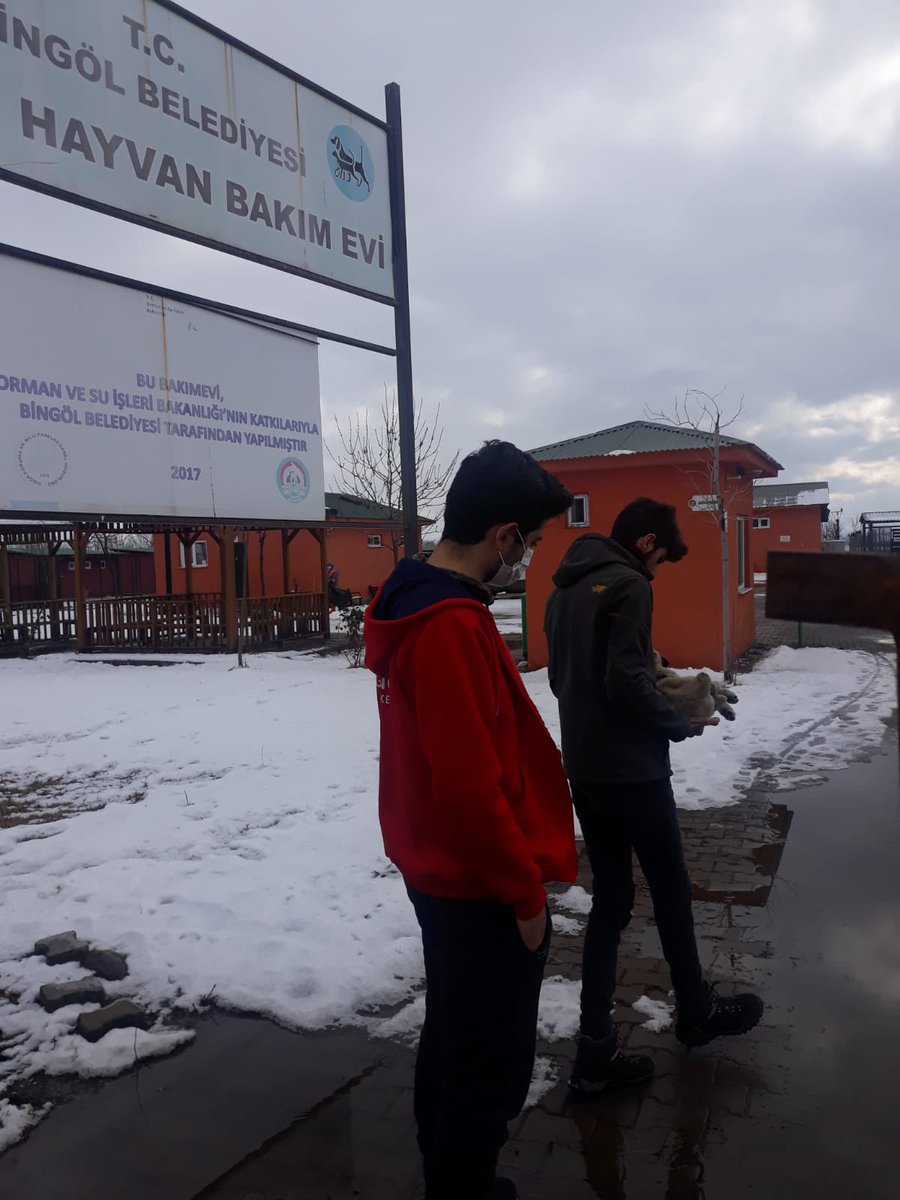 GSB_BingolGM's tweet photo. “Bir milletin büyüklüğü ve ahlaki gelişimi, hayvanlara olan davranış biçimi ile değerlendirilir.” Unutmayın ki onların da canı var. Yaralamayın yaralı görürseniz bildirin. Gönüllülerimizle yaralı yavru köpeği @bingolbel hayvan bakım evinde tedavi ettirdik. 
Teşekkürler @bingolbel https://t.co/nIRcdIab4N