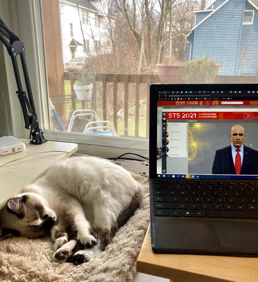 One benefit of virtual #STS2021 — kittens welcome!