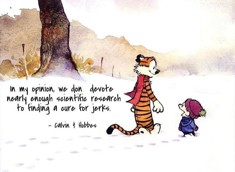 Be apart of the solution, not the problem! #CalvinandHobbes