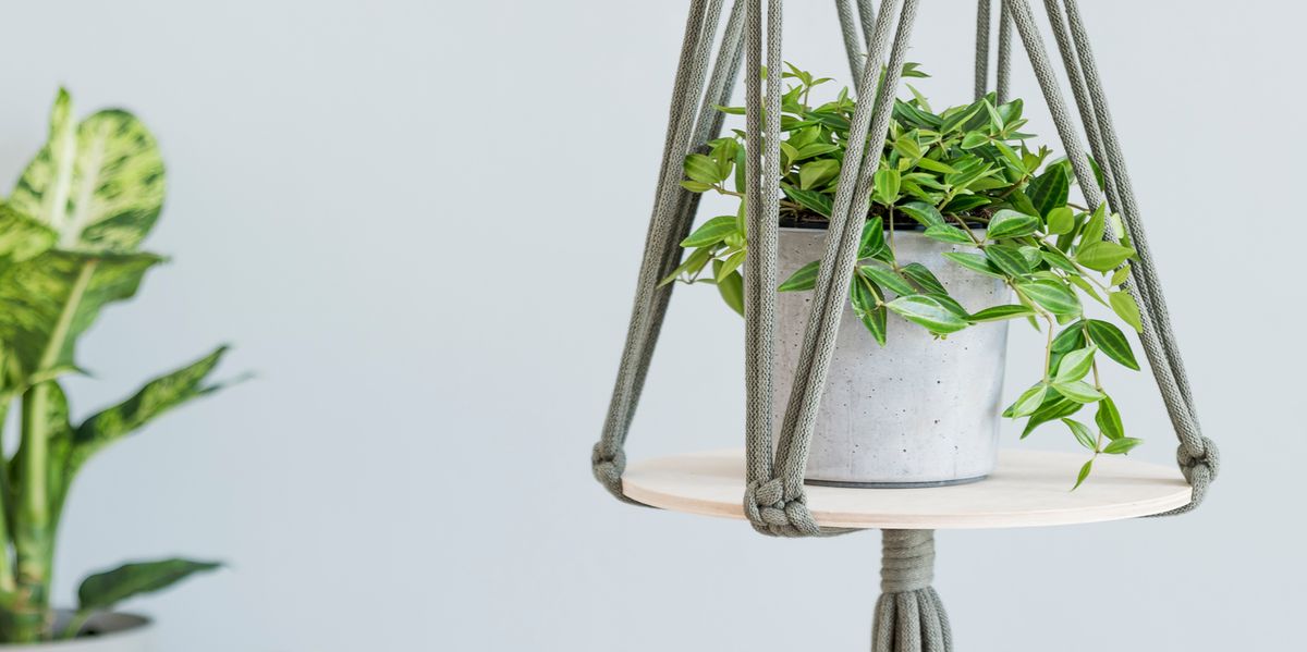 MStrong_Realtor's tweet photo. Sometimes, all that's needed to improve the look of a room is a hanging plant. #hometips #renovate  https://t.co/FJi78a8wCn  #svrrealtyllc https://t.co/vgoG4k6Ehm
