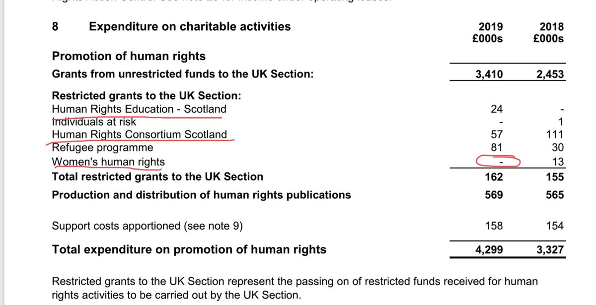 Here’s a clip from their accounts. Expenditure on Women’s Human Rights.  (-). That would be zero then? I suspect the two Scottish Organisations would be worth a look.