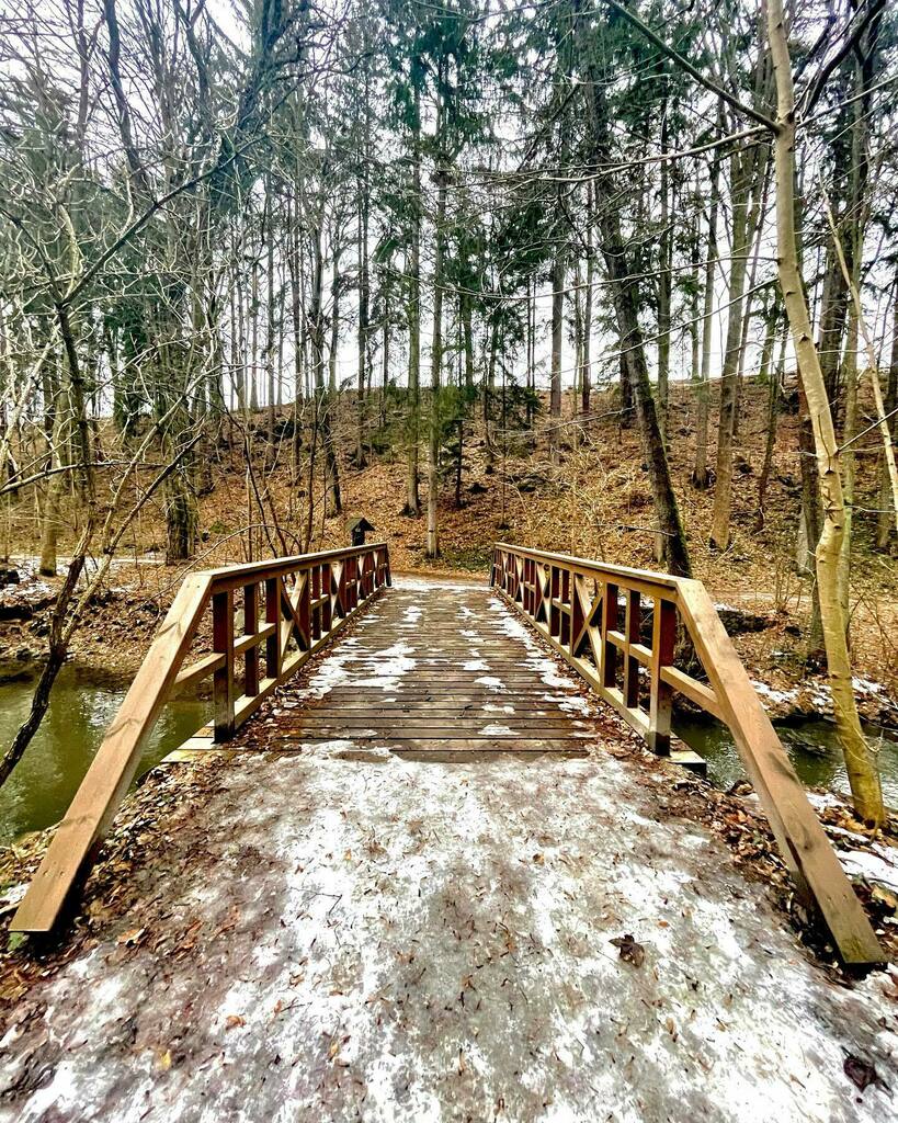cernypetr's tweet photo. #tercinoudoli #vyletypocesku #vylet #priroda #most #stromy #zima #udoli #jiznicechy #cesko #czech #trip #sobota #winter https://t.co/y0QABVaFIF https://t.co/Y8Cw1G8qod
