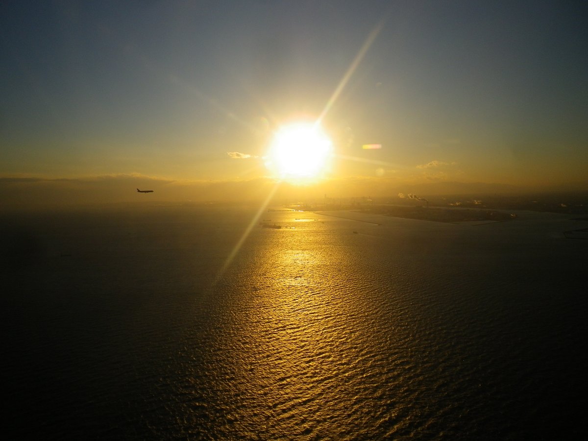 日本の芸術 tweet media