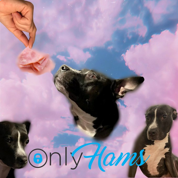 thx @miragonz https://t.co/d0v8YtnzDK<a class="tags" target="_blank" title="On Twitter" href="/?out=eyJ0eXAiOiJKV1QiLCJhbGciOiJIUzUxMiJ9.eyJpYXQiOjE3MjA4NTMwNjQsImlzcyI6InR3cG9ybnN0YXJzLmNvbSIsIm5iZiI6MTcyMDg1MzA2NCwiZXhwIjoxNzUyMzg5MDY0LCJyZWRpcmVjdF91cmwiOiJodHRwczovL3R3aXR0ZXIuY29tL21pcmFnb256In0.zMPLJSD09XjdaHrWatNHS8BQ-uM3f1-14URst7NMJTYDI0QfQEsSOwHQduEUuRfgFIPMKS7-MYRgecih2UNXFA">@miragonz</a>