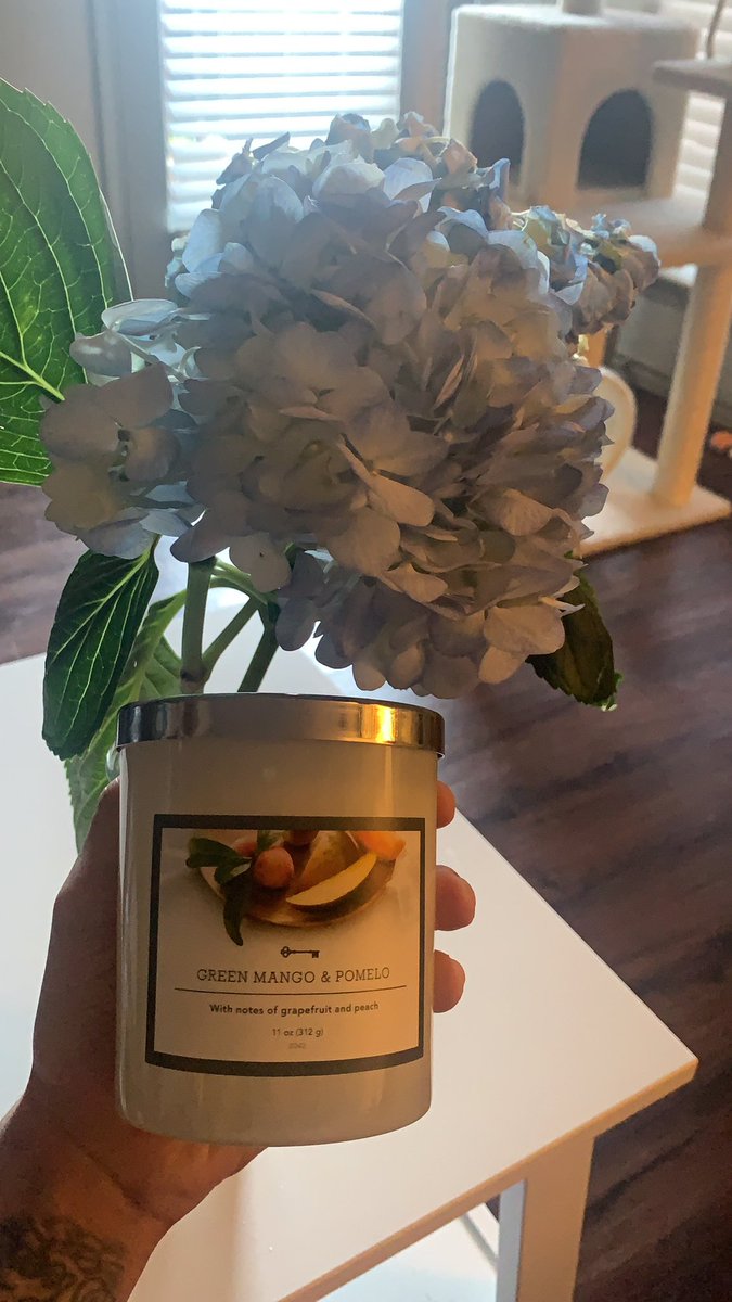 Fran 🌊🧳 tweet media