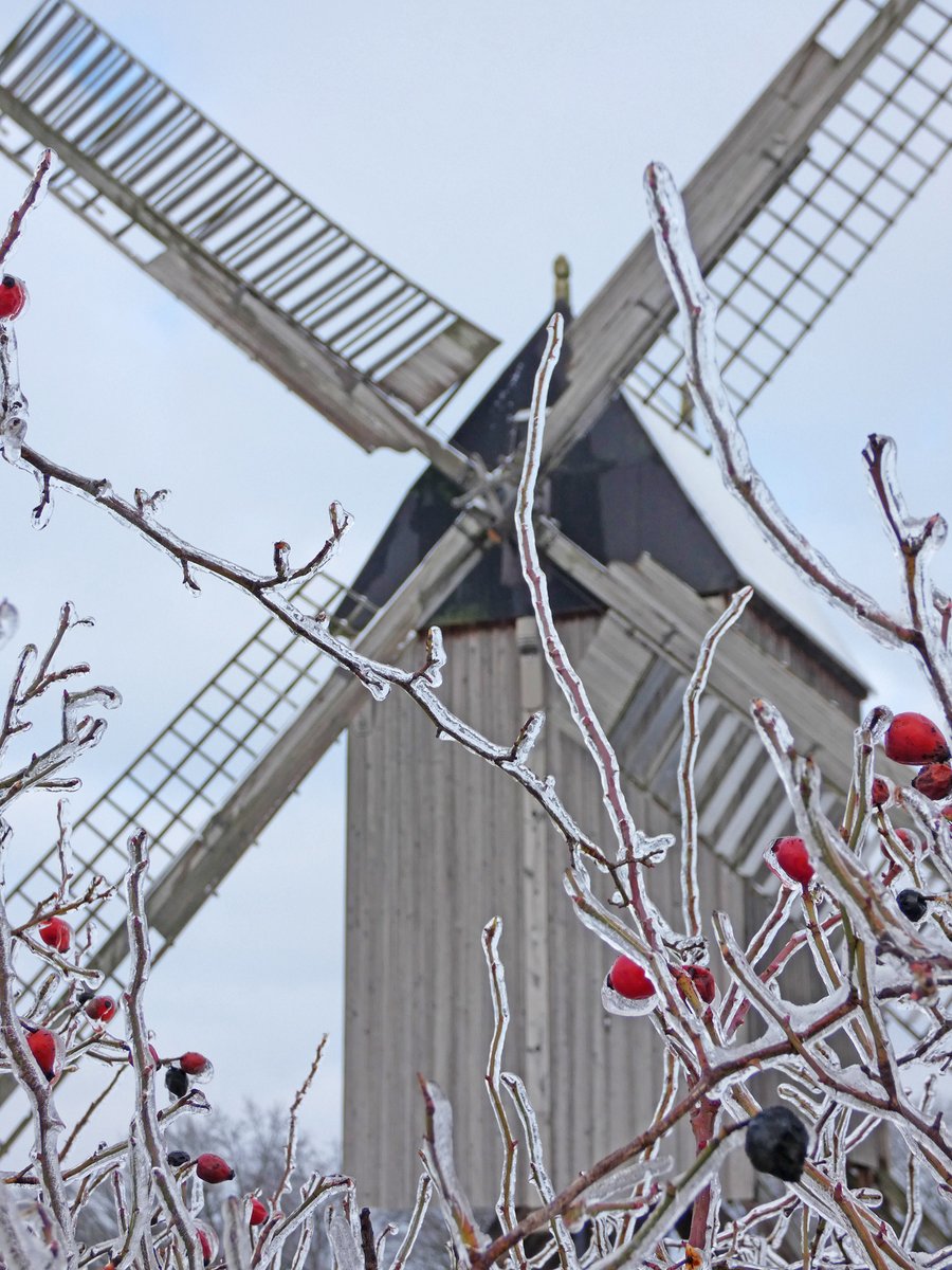 SchreiberinB's tweet photo. Eis-Hagebutten mit Kulisse. #Winterfreude https://t.co/w5huLTpRbr