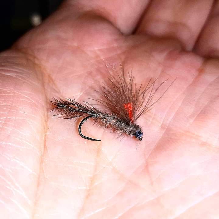 P_depredadores's tweet photo. Montadas en anzuelo del #14 exuvia en pluma de avestruz y el resto en CDC salvaje.
#pescadedepredadores #vivalapesca #pescamosca #moscaseca #catchandrelease https://t.co/rqFirRO2PT