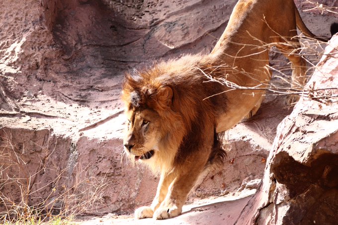 シン 高画質 のtwitterイラスト検索結果 古い順