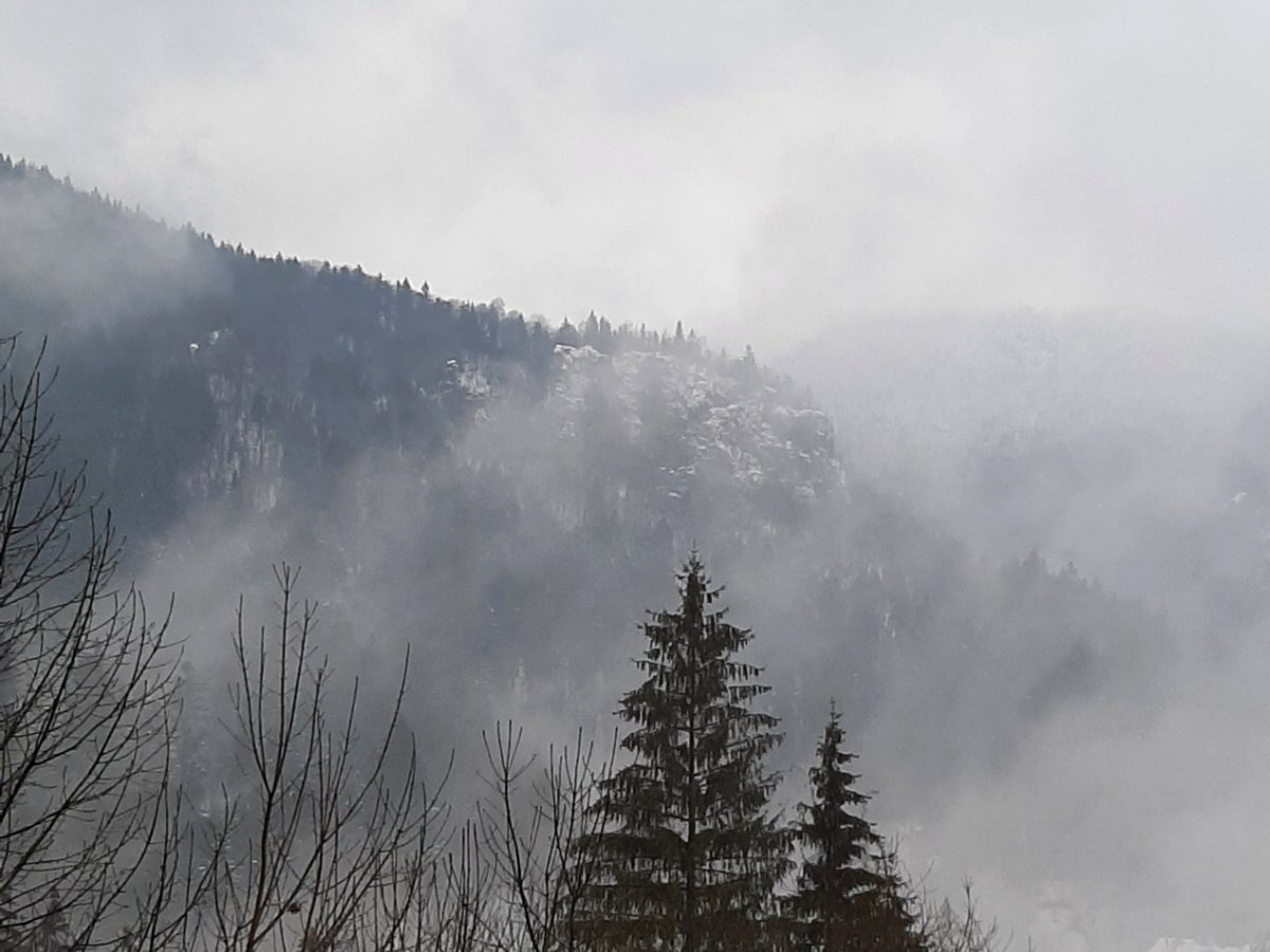 As a mountain town, there are some great  #hiking trails from Băile Tuşnad. A thick mist meant no sweeping views from the top, but the forests were just as pretty (or even more pretty!) being blanketed by the fog.