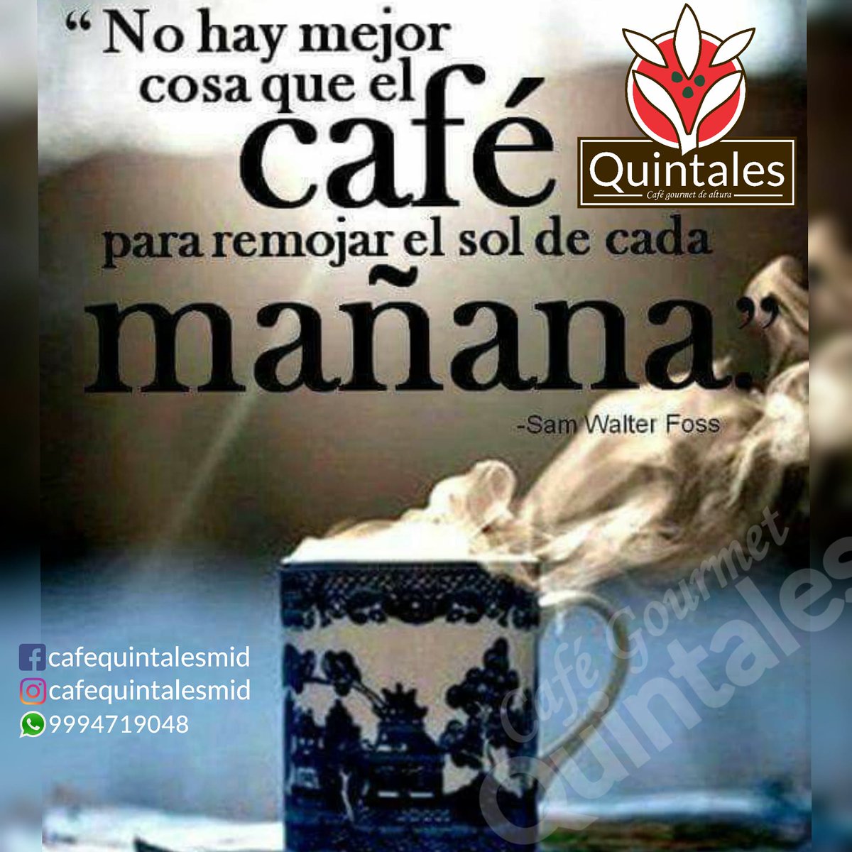 🌞Buenos días , que la energía del Sol y el sabor de Café Quintales☕😋 los acompañen a todas horas⏳ .

#cafequintalesmid 
#cafe
#gourmet 
#cafedealtura 
#ElSaborDelCafe 
#cafedeveracruz