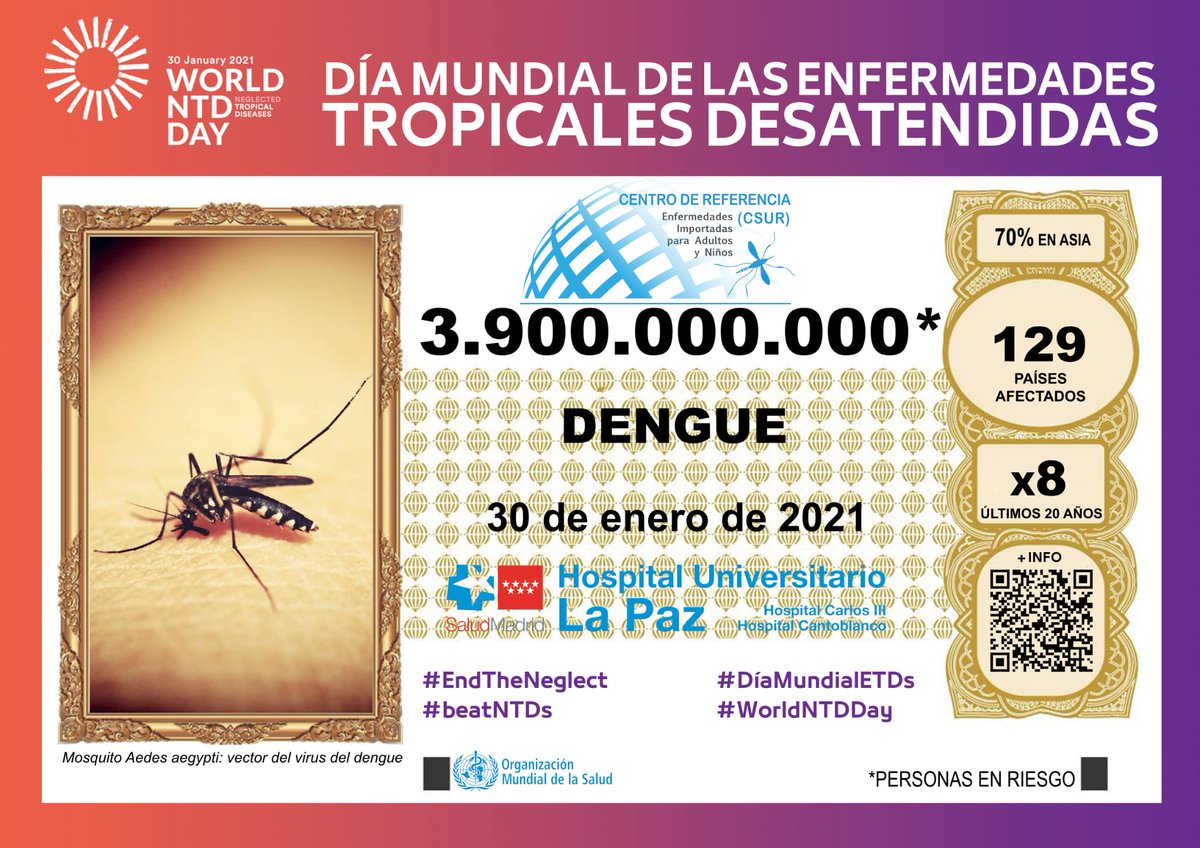 acam_acam's tweet photo. La incidencia del #Dengue ha aumentado x50 en los últimos 50 años, con 22.000 muertes anuales en el mundo. España ha registrado casos autóctonos desde 2018. #DíaMundialETDs #WorldNTDDay #EndTheNeglected #beatNTDs https://t.co/M5gJsjs0gH https://t.co/tERJ0SKmbr