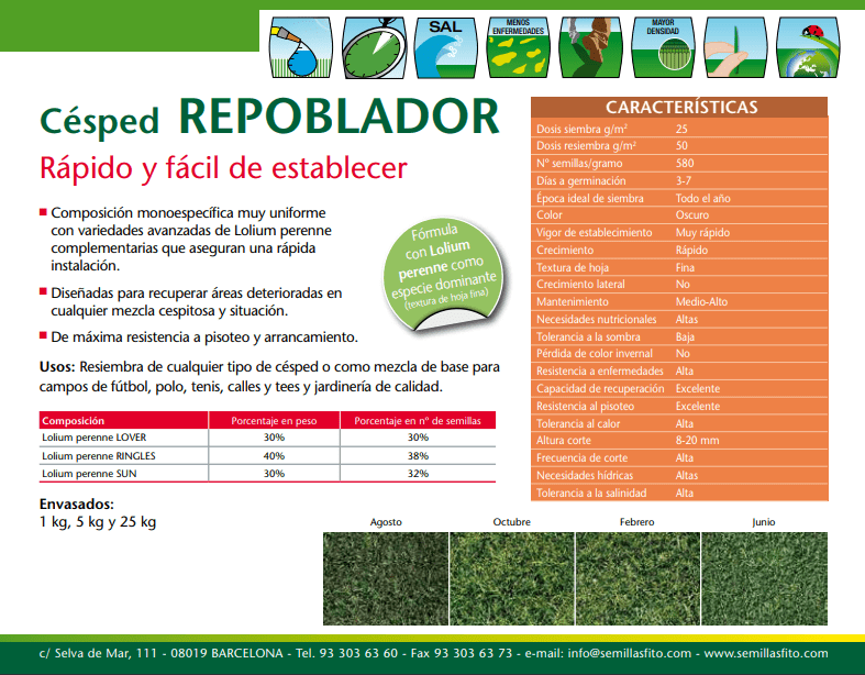 SemillasFitoTG's tweet photo. 🌱 Nuestro #cesped #Repoblador de uso intensivo está especialmente diseñado para recuperar áreas deterioradas en cualquier mezcla cespitosa y situación ✅
Para más info.  ⬇️

https://t.co/yZZc5P6N0F https://t.co/hohHrqwJBV