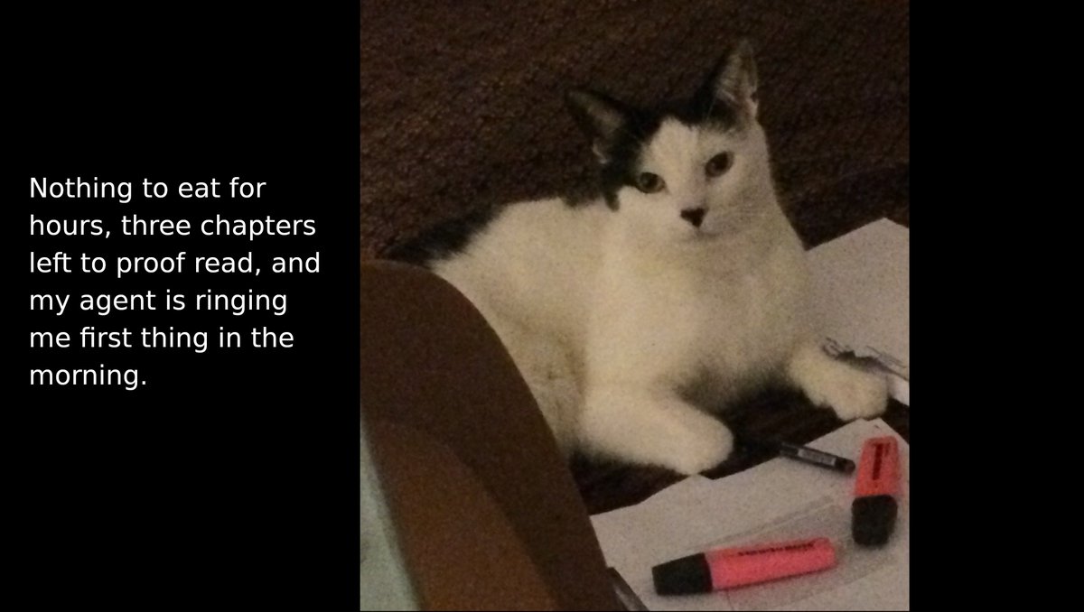 Providr2's tweet photo. A hungry cat needs an easy way to order online. #cat #cats #creativecat https://t.co/6jzD7x5Oca