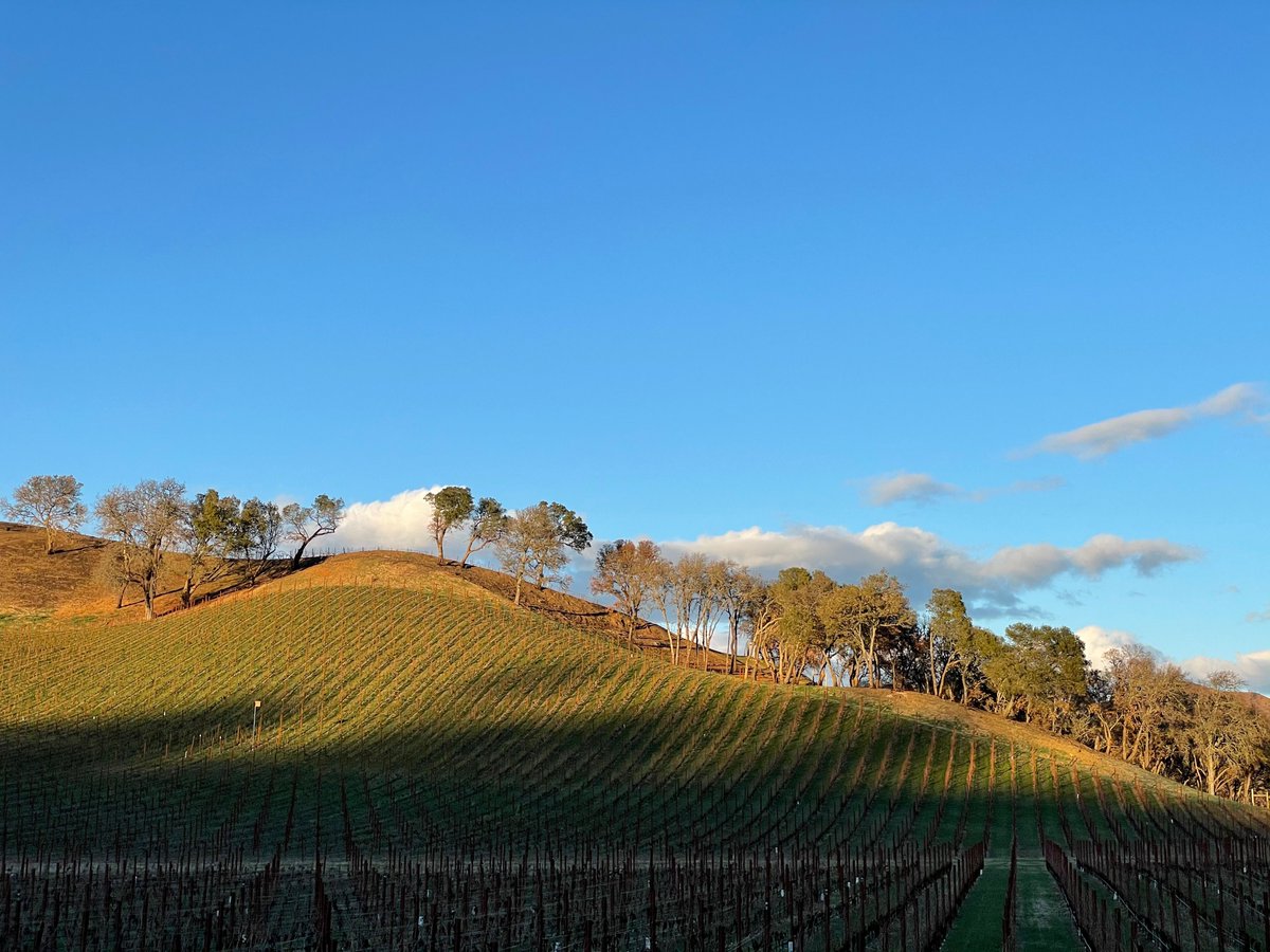 Visit Napa Valley tweet media