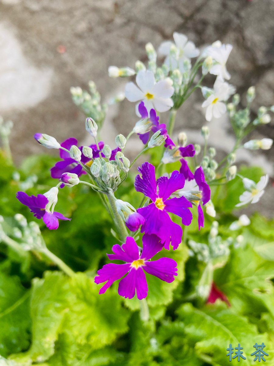 四字熟語を作ってみる