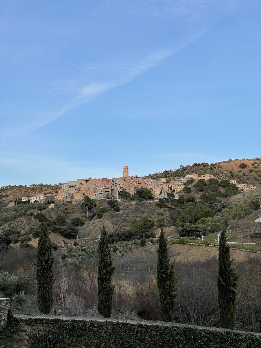 vilaviniteca tweet media