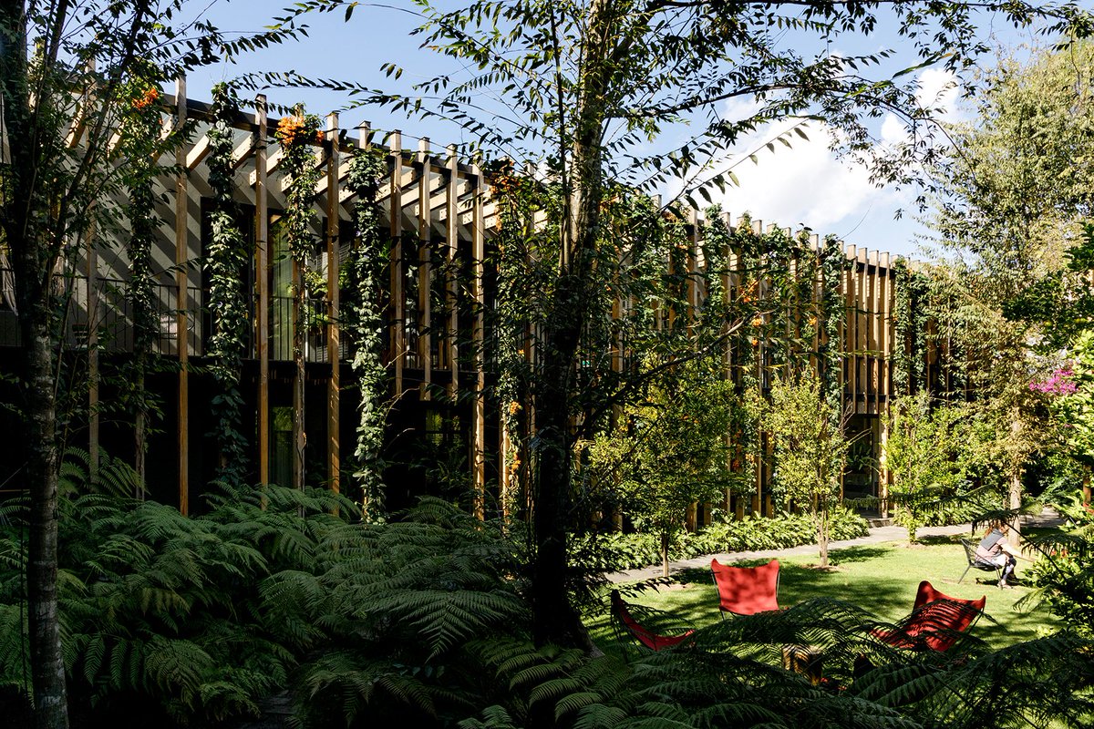 #Oxigeno #naturaleza #sol y espacios abiertos en <a href="/cincorodavento/">cincorodavento</a>