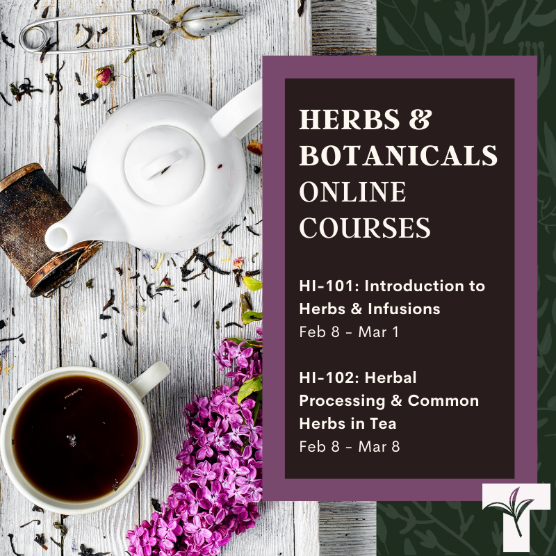 CanadaTea's tweet photo. Build your knowledge on herbs & botanicals and how they are used in your favourite tea blends. From their history to taste, our online courses introduce students to traditions, processing methods and common herbs used in the modern tea industry. #teaschool https://t.co/ziAk9uAh6b https://t.co/fyklMuyk8Q