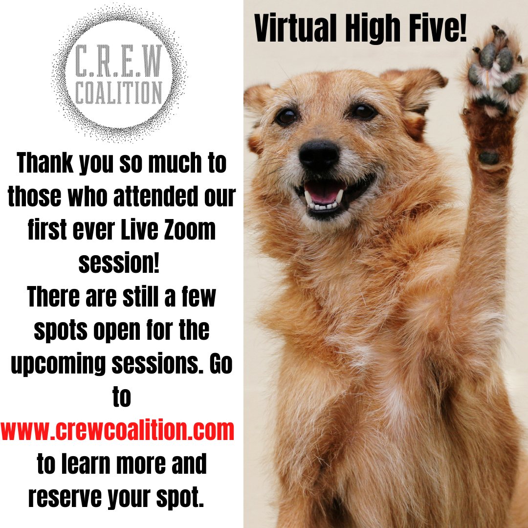 That was a blast! Thank you so much to those of you who attended our very first C.R.E.W Coalition Zoom! Your input was invaluable! 
Do you have serious FOMO right now? 
Curious as to what the hell we're talking about? 
Go to our website to learn more.
#crewcoaltion