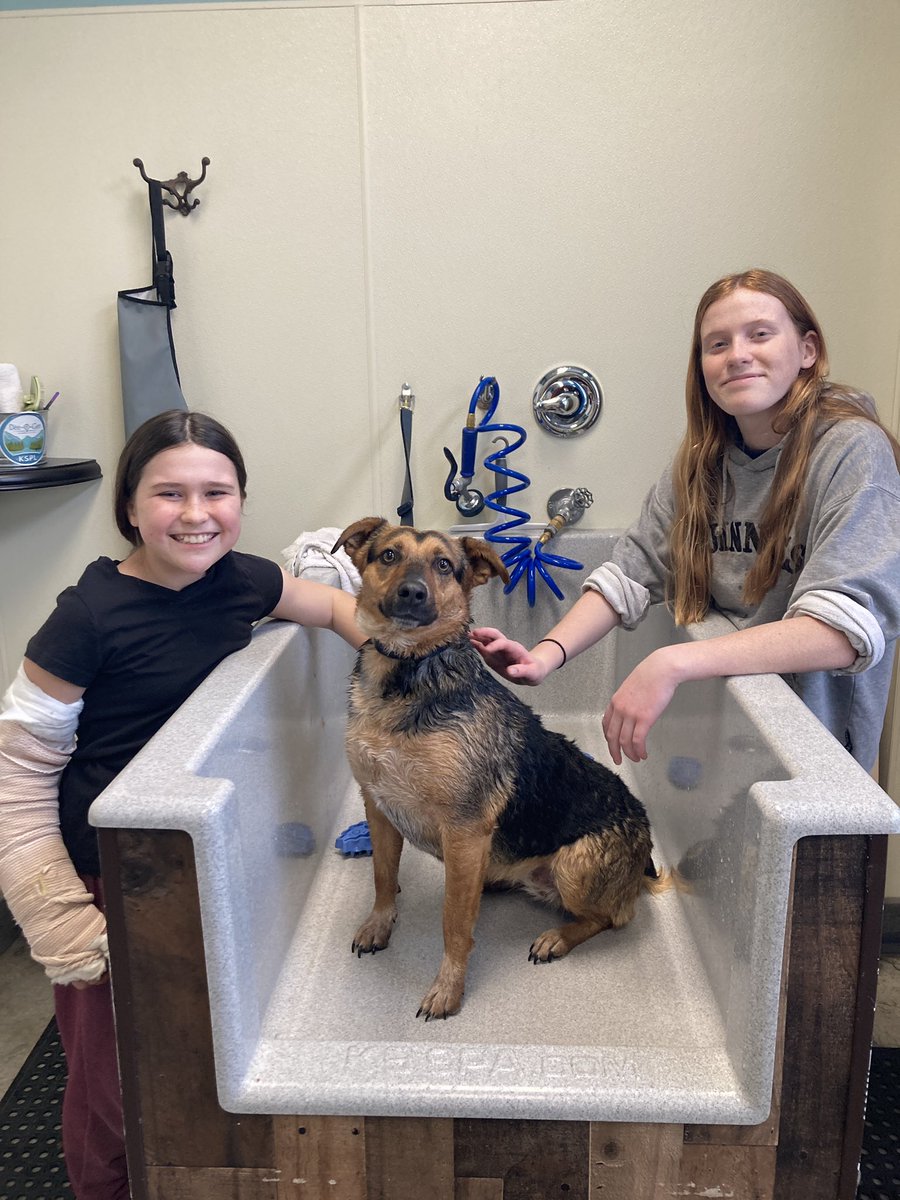 Clean at @deeogeskspl