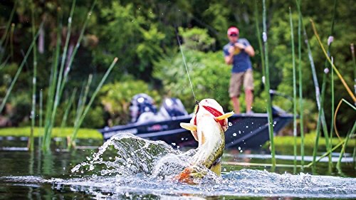 Backwoods General Store (@backwoodsstore) on Twitter photo Stop on by the store and check out our fishing gear.
#camping #hiking #hunting #fishing  #lures #bait #reels #poles 
backwoodsgeneralstore.com/shop/ Stop on by the store and check out our fishing gear.
#camping #hiking #hunting #fishing  #lures #bait #reels #poles 
backwoodsgeneralstore.com/shop/