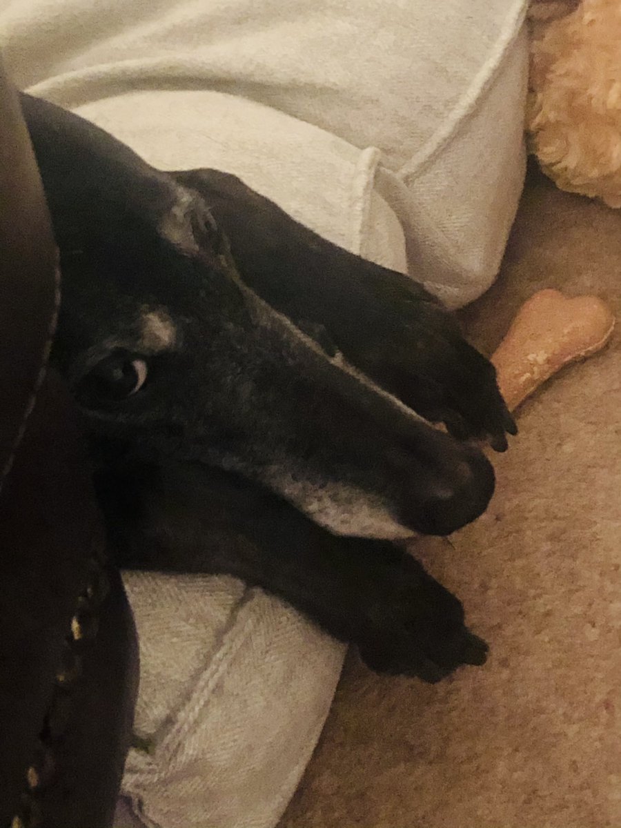 xxxzukixxx's tweet photo. #sadface #harddoneto #needsrescuing #pleasehelpme https://t.co/qToWCvOXGw