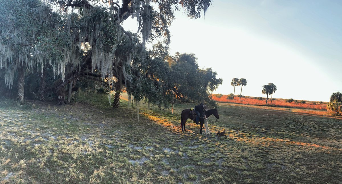 americanliv's tweet photo. I woke up, horses were caught &amp; saddled and he told me to hurry up and get dressed before it was too light out. Rode out to the river and watched otters &amp; gators, the dogs ran after some hogs, I took these pics, and moments later I was ENGAGED! So excited to be Mrs. Pritchett❤️ https://t.co/TC3O97NTpO