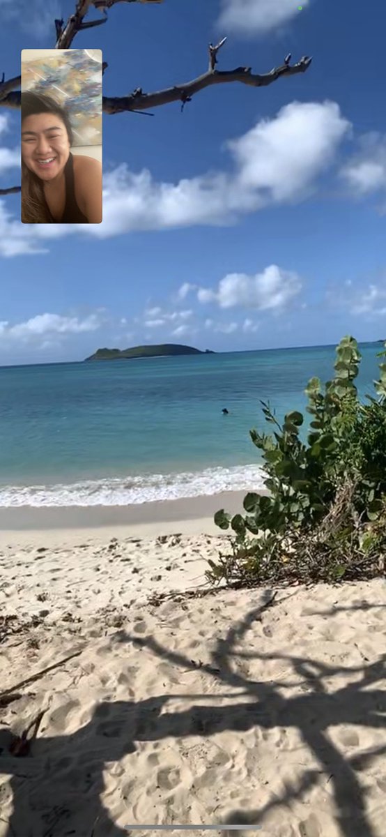 Catching wind of new travel and border restrictions in Peru and Canada this AM, swerving plans for folks. 

Got a FT from <a href="/vicearoni/">steph brown</a> in Paradise (Grenada) this AM. Less than 3 Covid cases this whole season? You made good life decisions in this WFH world bae 🖤✈️