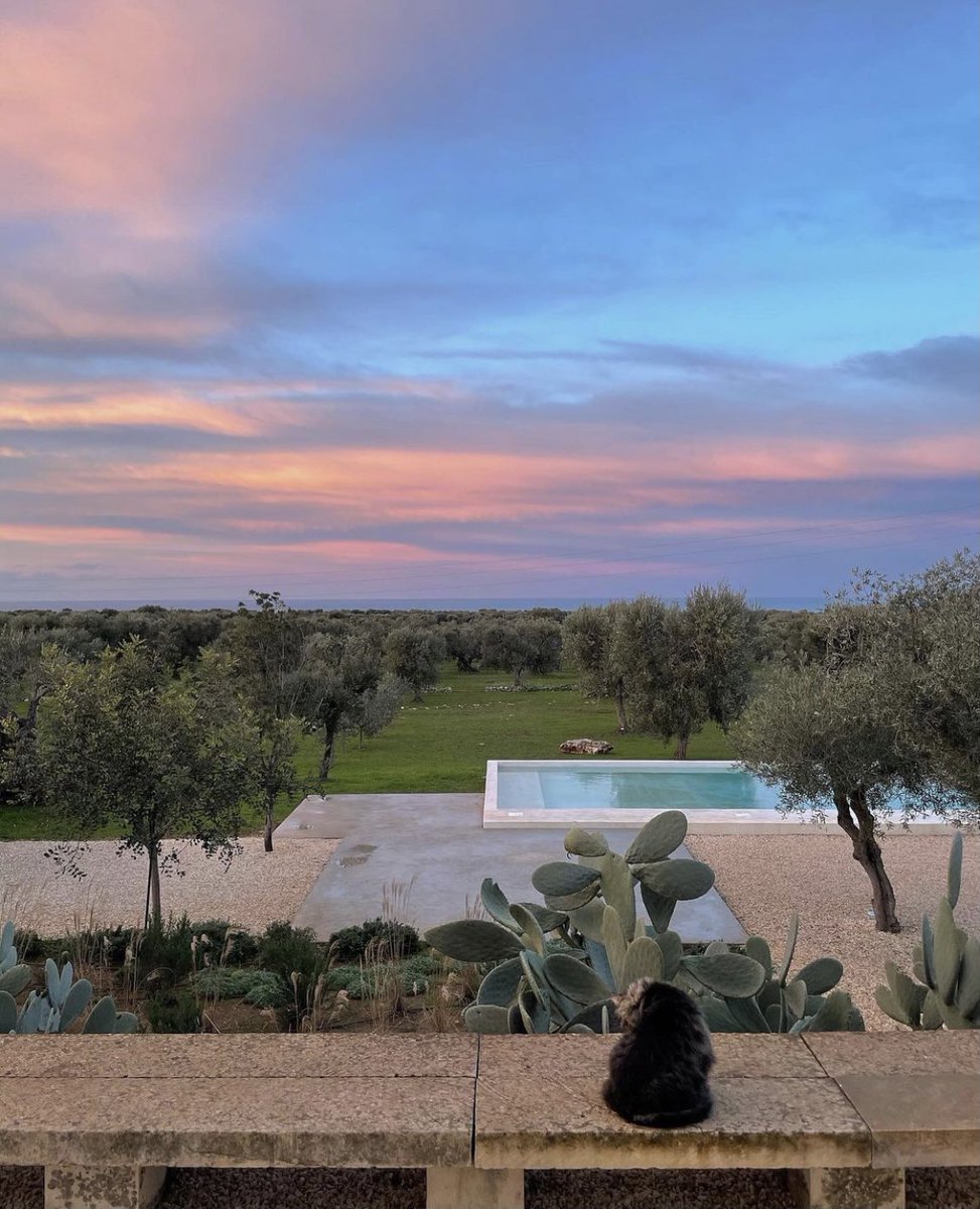 NATALIALABEL's tweet photo. Another episode of Southern Italian farmhouse of my dreams. https://t.co/FNsgh9q09k