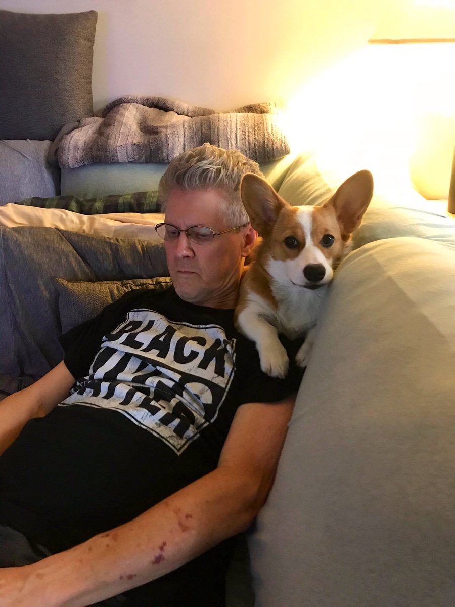 Tazzy brings Ted and Sandy joy. She’s also a wild child. She tears around their apartment. She destroys toys. See the pile waiting for Ted to stitch back together. Photos courtesy of  @TedRogersLA