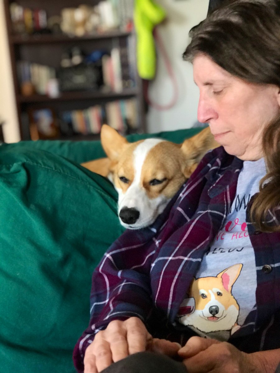 Tazzy brings Ted and Sandy joy. She’s also a wild child. She tears around their apartment. She destroys toys. See the pile waiting for Ted to stitch back together. Photos courtesy of  @TedRogersLA