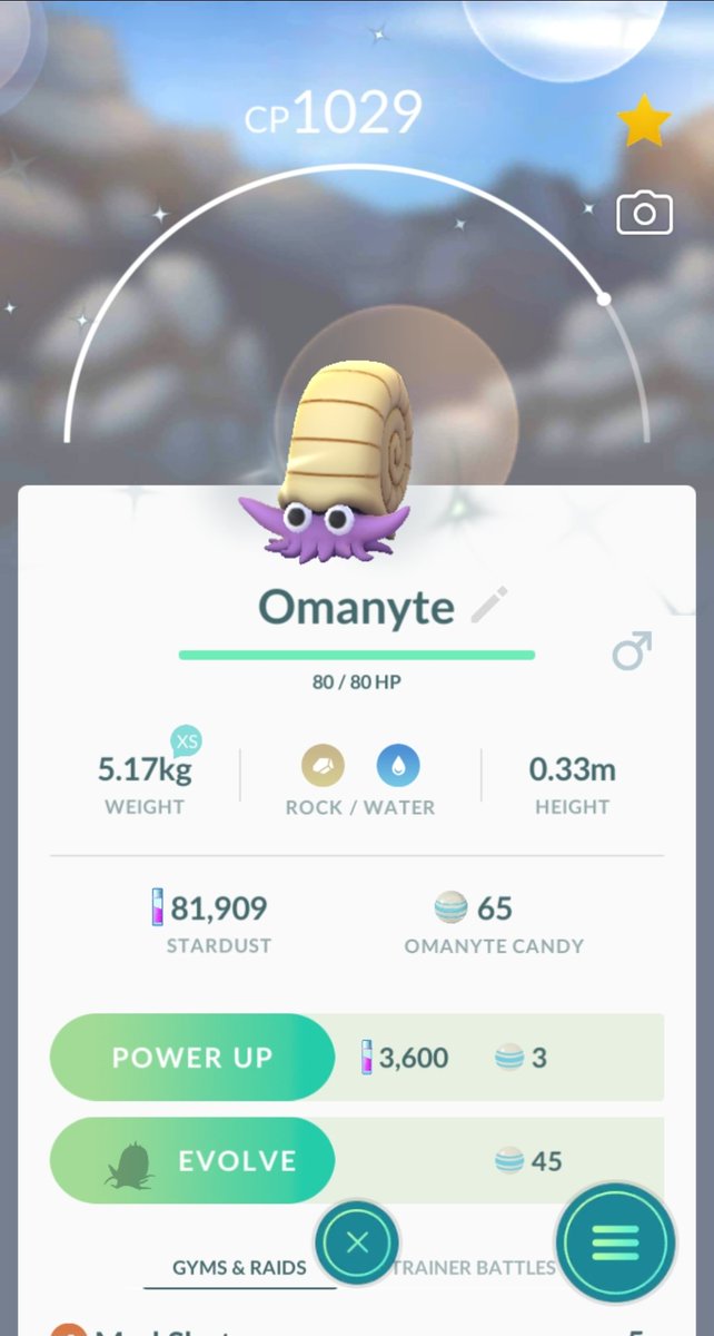 miketendo64's tweet photo. #WhosThatPokemon? It's #Omanyte!
Catch Date: January 30, 2021
#PokemonGO #Shiny: 19
How to make victory taste even sweater after a successful battle against a #TeamGORocketLeader? Being presented with a Shiny Surprise! https://t.co/3Eix8Ucxzp
