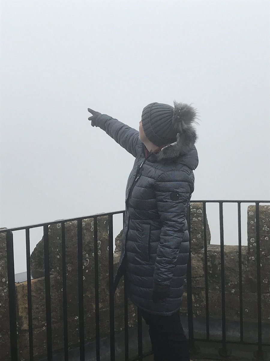DawsonDivasWed1's tweet photo. ⁦@SusanCalman⁩ this was our view from #broadwaytower on our honeymoon #peasoup #granddayout https://t.co/R03yVcxrcf