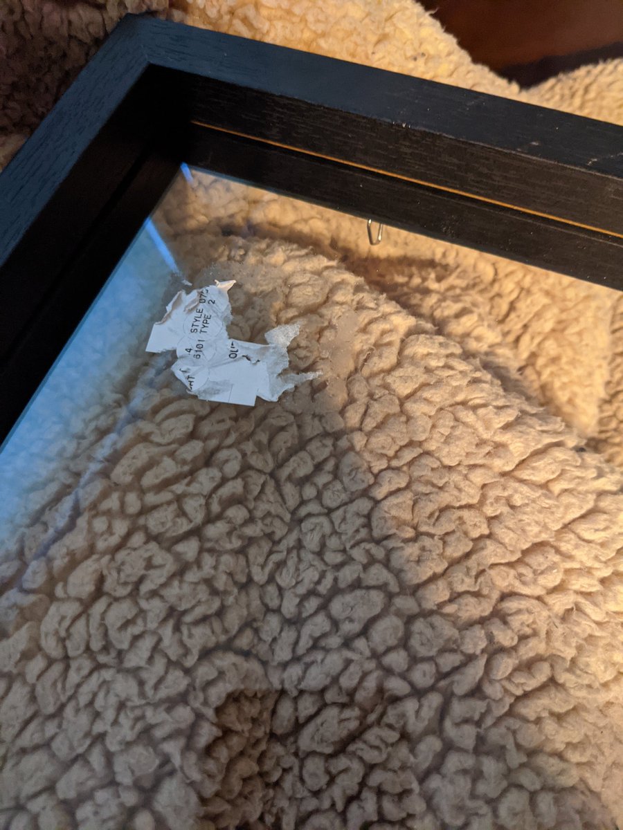 HisExCybers's tweet photo. @HomeGoods Cool story guys https://t.co/SMOCpW6DDj