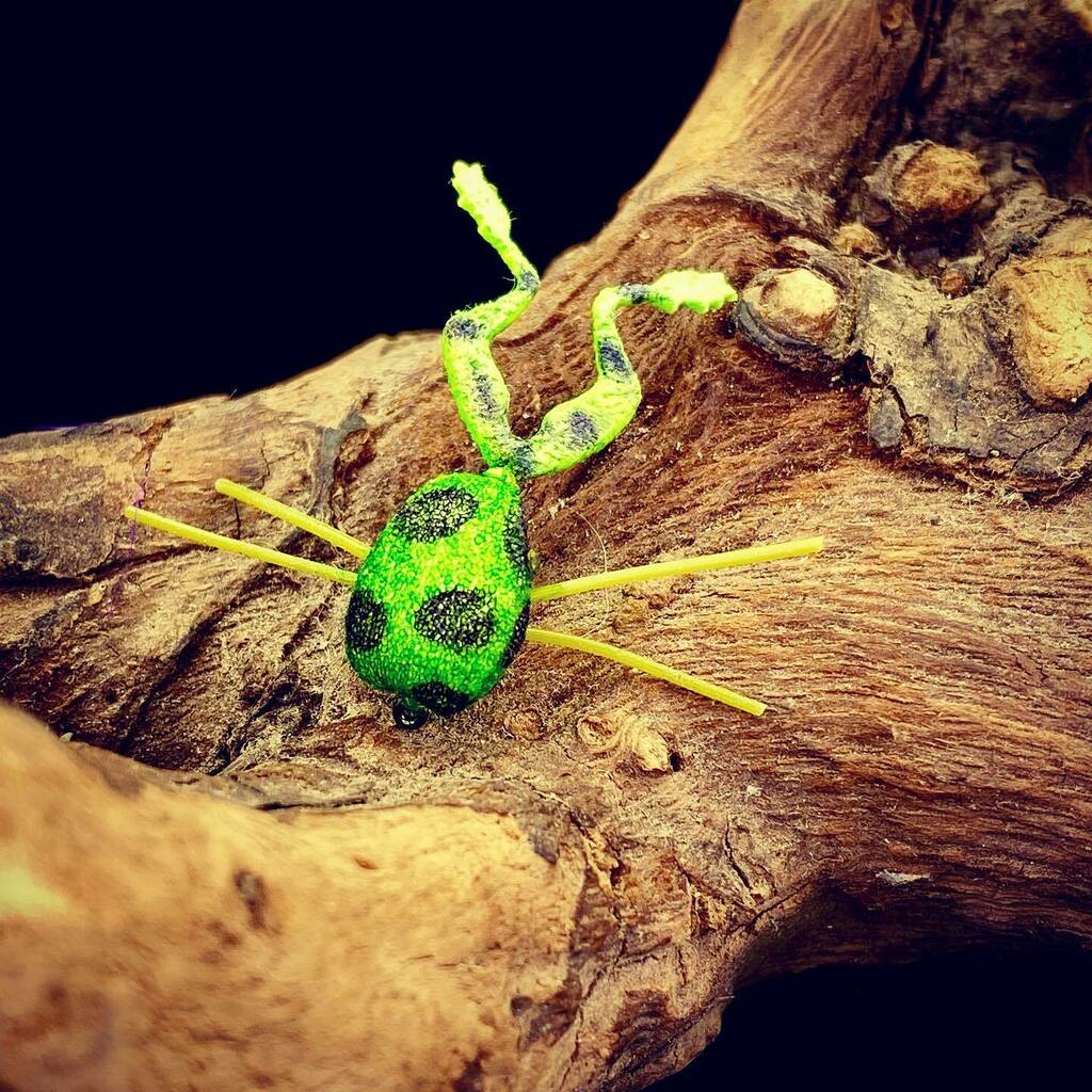 Panfishonthefly's tweet photo. I have playing around with different versions of my latest nice frog for panfish. I think I going with straight legs instead of knotted. More action in the water and quicker easier to tie! #panfishonthefly #panfish #bluegillonthefly #bluegill #flyfishin… https://t.co/ctFZJFAupt https://t.co/4VNFPru4ye