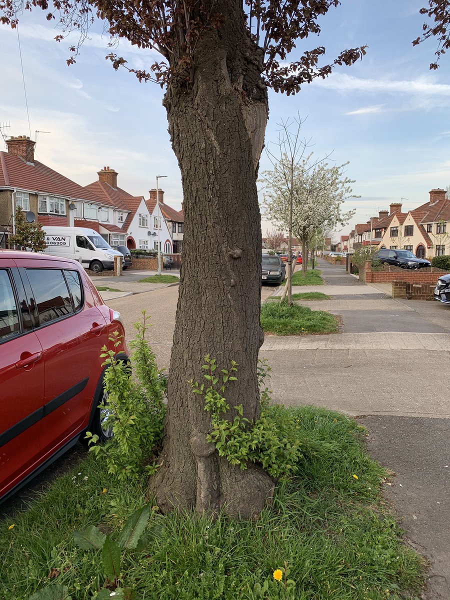 gizele_gh's tweet photo. @WoodlandTrust 🙈 https://t.co/Pe0nMp8yo3
