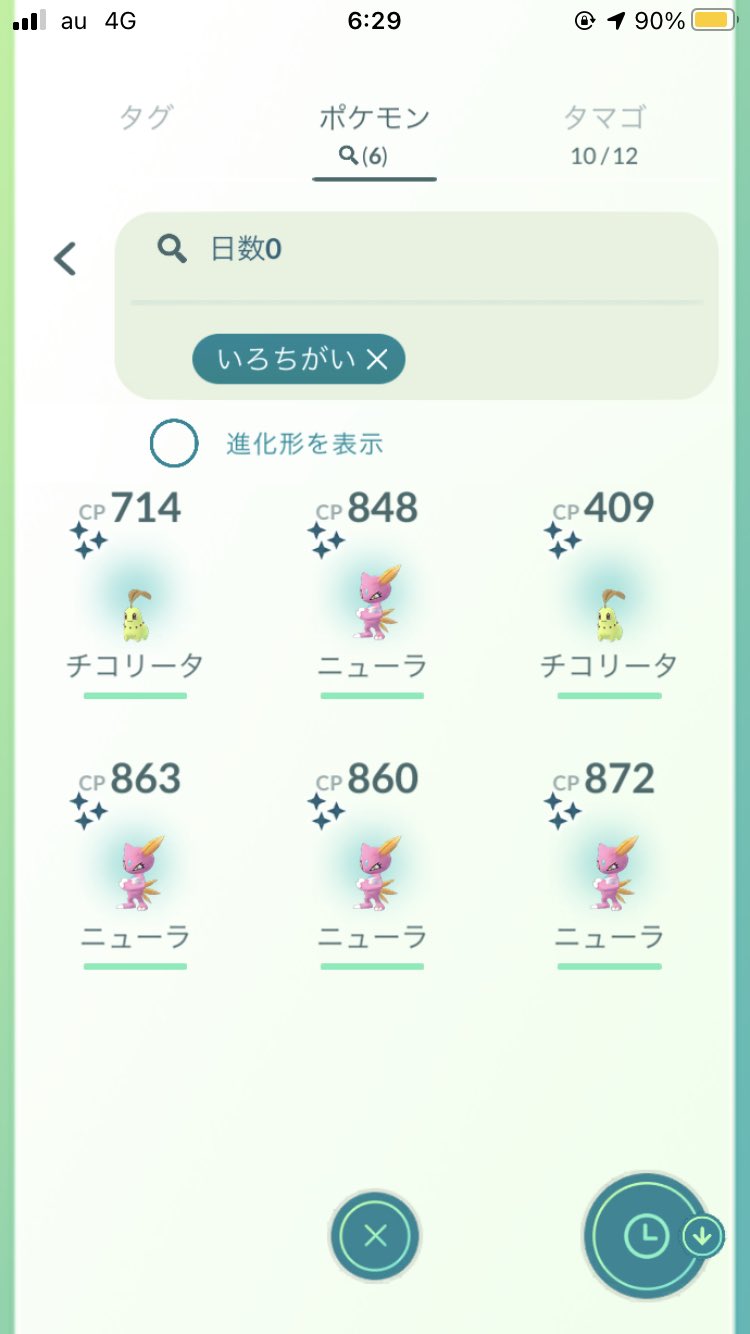 色違いチコリータ Twitter Search Twitter